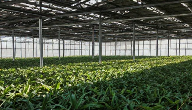 会务活动策划的性能考量与适用场景分析